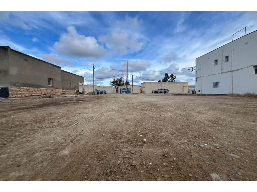  Plot of 1,038 m² for construction for sale in Deltebre (La Cava area). The plots have an approximate frontage of 16.50 m and a depth of approximately 63 m.